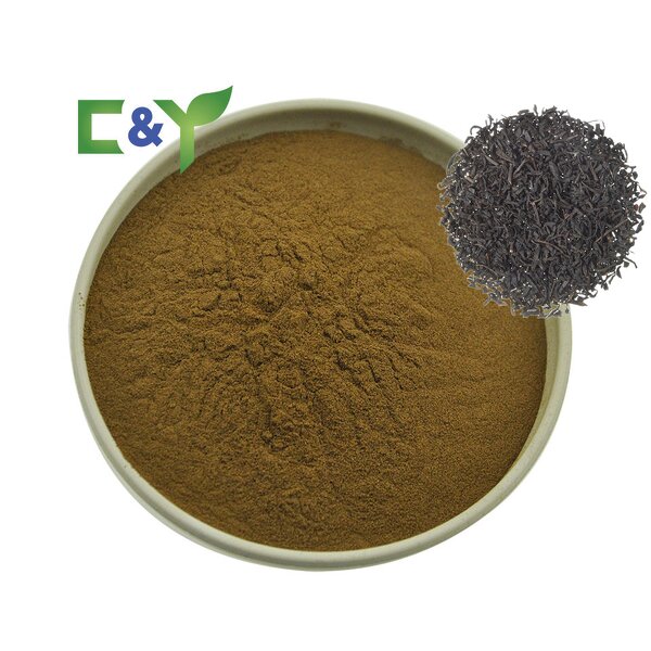Ceylon Black Tea Manufacturer - Wholesale Black Tea Powder & Extract