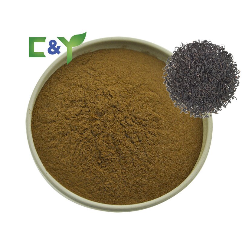Ceylon Black Tea Manufacturer - Wholesale Black Tea Powder & Extract