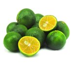 Lime Powder Manufacturer - Top Grade Lime Fruit & Juice Powder