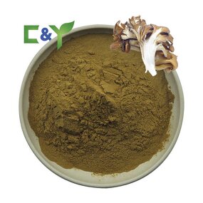 Maitake Mushroom Extract Manufacturer - 50% Polysaccharide Powder