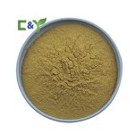 Lions Mane Mushroom Extract Manufacturer - Raw Material Powder