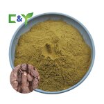 Fo-ti Root Extract Powder Manufacturer - Natural Plant Extracts