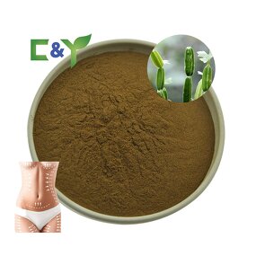 Cissus Quadrangularis Powder Manufacturer - Pure Leaf Extract Powder