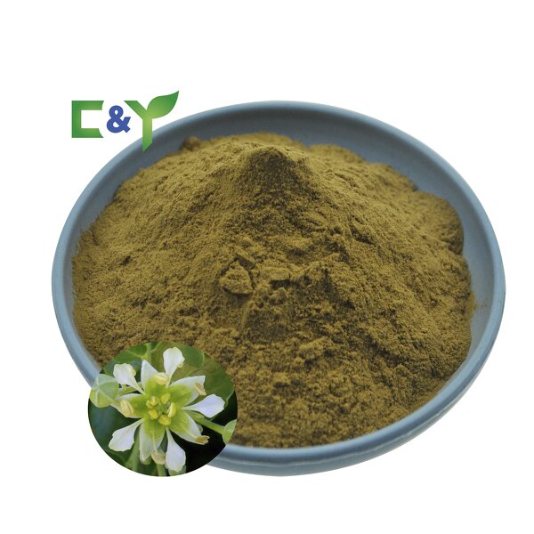 High Purity Quillaja Bark Extract Manufacturer - Soap Bark Saponaria Extract