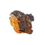 Chaga Mushroom Extract Manufacturer - Pure Chaga Mushroom Powder