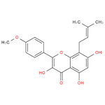 Epimedium Extract Manufacturer - Horny Goat Weed Powder with 98% Icariin