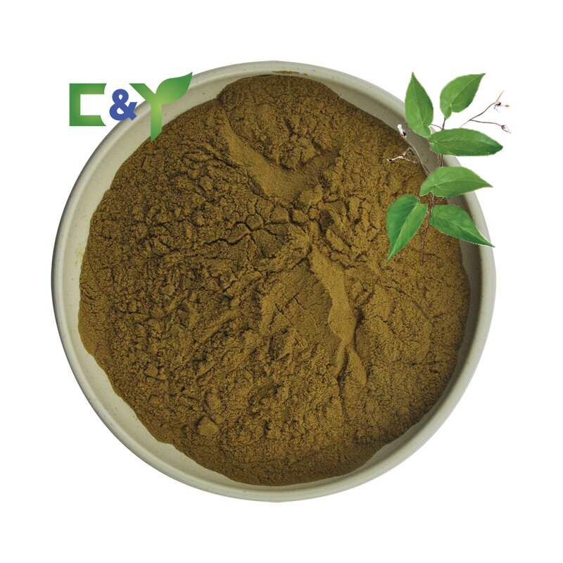 Epimedium Extract Powder Manufacturer - 20% Icariin, Horny Goat Weed & ISO Certificate
