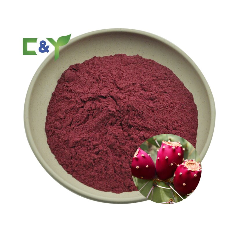 Prickly Pear Extract Powder Manufacturer - Prickly Pear Fruit & Cactus Powder