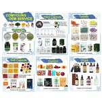 Chamomile Tea Manufacturer - Chinese Chamomile Flowers & Blooms