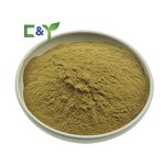 Ceylon Black Tea Manufacturer - Wholesale Black Tea Powder & Extract