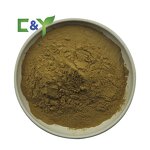 Maitake Mushroom Extract Manufacturer - 50% Polysaccharide Amino Acid Capsules