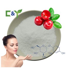 Alpha Arbutin Powder Manufacturer - 99% Pure Beta Arbutin Powder