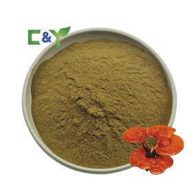 Ganoderma Lucidum Powder Manufacturer - Reishi Extract Powder
