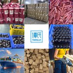 Sea Moss Capsules Manufacturer - Private Label for Energy Booster