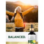 Organic Oregano Oil Drops Manufacturer - Oral Liquid Food Supplement for Immune Support
