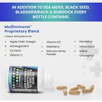 Sea Moss Pills Manufacturer - 16-in-1 Organic Raw with Black Seed Oil