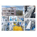 Creatine Monohydrate Manufacturer - Vitamin Fortified for Adult Energy & Stamina