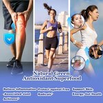 Moringa Leaf Liquid Drops Manufacturer - Organic Supergreens Blend for Adults