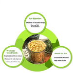 Soy Lecithin Capsules Manufacturer - GMP Factory Health Supplement