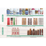 Ginseng Extract Tablets Manufacturer - Private Label Antioxidant for Immune Support