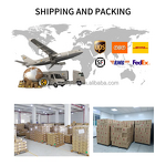 Fat Burner Gummies Manufacturer - Vegan with 1000mg L-Carnitine & Apple Cider Vinegar