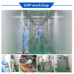 Chocolate Whey Protein Powder Manufacturer - Custom Formula with 23g Protein & Gluten Free