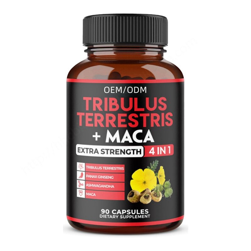 Tribulus Terrestris Extract Capsule Manufacturer - Private Label & Digestive Health Support