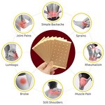 Bengal Tiger Plaster Patch Manufacturer - For Joint Back Knee Pain Relief