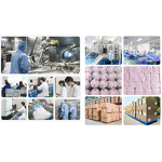 DEP Electroporation EMS Instrument Manufacturer - Desktop Non-Invasive & Multi-Functional