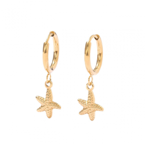 Stainless Steel Starfish Earrings Supplier - Trendy Niche Elegant Pendant Earrings