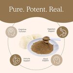 Lion's Mane Mushroom Extract Powder Manufacturer - Raw Material for Capsules, Tablets, Gummies