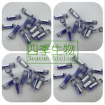 Blue Copper Peptide Powder Manufacturer - Bulk GHK-Cu for Skin Care