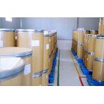 Beetroot Extract Powder Manufacturer - 100% Pure Natural Beetroot Powder