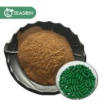 Chaga Mushroom Powder Manufacturer - Food Grade Bulk Chaga Powder