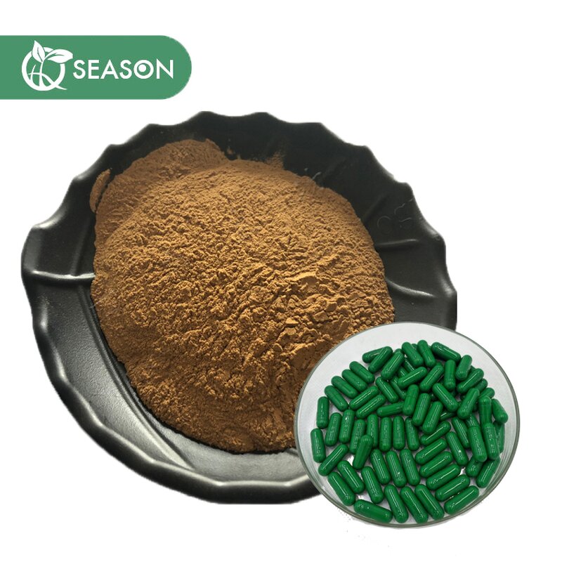 Chaga Mushroom Powder Manufacturer - Food Grade Bulk Chaga Powder
