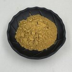 Yucconin Yucca Schidigera Extract Powder Manufacturer - Yucca Extract Powder