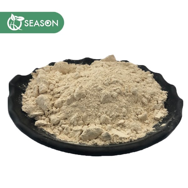 Mango Leaf Extract Manufacturer - 10% to 95% Mangiferin Powder