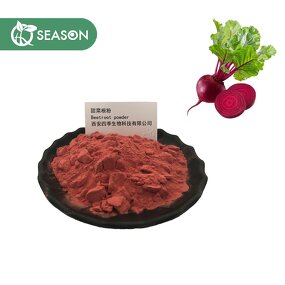 Beetroot Extract Powder Manufacturer - 100% Pure Natural Beetroot Powder