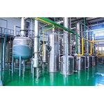 Tetrahydropalmatine Extract Manufacturer - 98% from Corydalis Yanhusuo