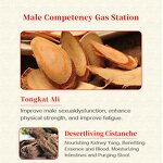Tongkat Ali Extract Manufacturer - Libido Support & Energy Booster for Men
