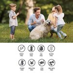 Vitamin D3 Gummies Manufacturer - Vegan Brain Focus Supplement & Private Label