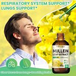 Mullein Leaf Herbal Supplement Manufacturer - Vegan Organic for Lung & Respiratory Support