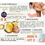 Sensitive Skin Serum Manufacturer - Anti-Aging & Barrier Repair with Plant Stem Cells