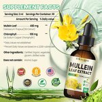 Mullein Leaf Herbal Supplement Manufacturer - Vegan Organic for Lung & Respiratory Support