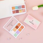 Concealer Palette Manufacturer - Full Coverage Mineral Powder for Face Makeup & Private Label