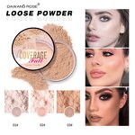 Loose Powder Makeup Manufacturer - Natural Matte Concealer & Dry Powder