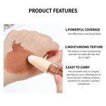 Liquid Sponge Head Concealer Manufacturer - 6-Color Waterproof & Custom Brand