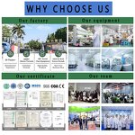 Hair Care Set Manufacturer - Sulfate Free Anti Dandruff with Tea Tree & Argan Oil