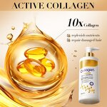 Collagen Hair Shampoo & Conditioner Manufacturer - Anti-Dandruff for Salon Use