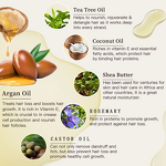 Hair Care Set Manufacturer - Sulfate Free Anti Dandruff with Tea Tree & Argan Oil